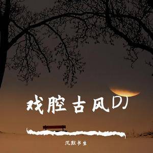 牵丝戏(DJ版)